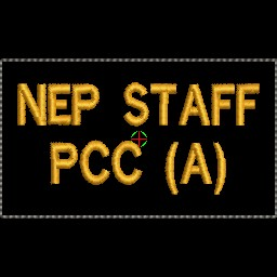 NEP Staff PCC (A) Patch