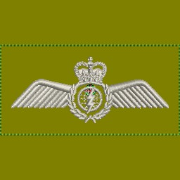 ACSO Wings in Silver