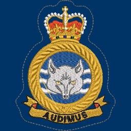 ADAC Heraldic Crest w/ Blue Waves (navy background)
