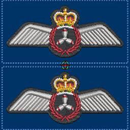 Flight Engineer Wings Coloured (navy)