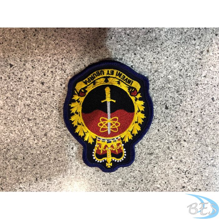 21 EW Heraldic Crest