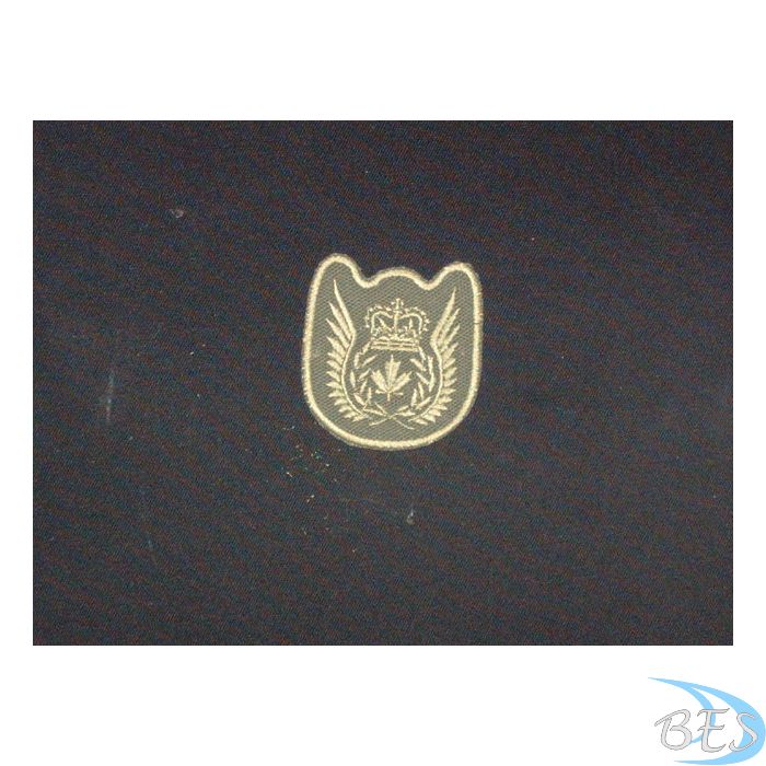 Skill Badge: Flight Crew LVG