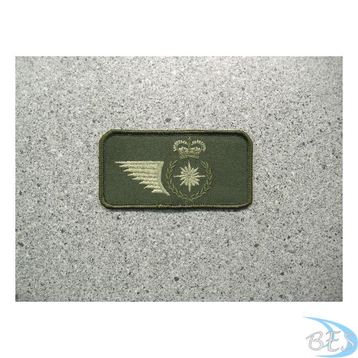 Intelligence Trade Badge Nametag Style LVG