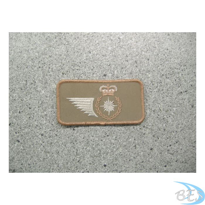Intelligence Trade Badge Nametag Style Tan