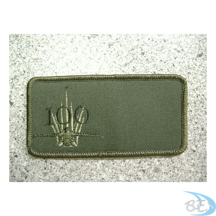 Centenial of flight Nametag LVG