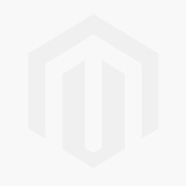Prime Minister Protection detail Patch
