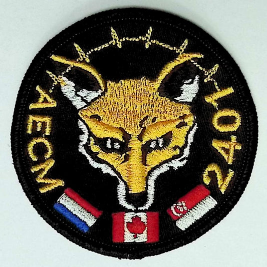AECM Coloured LVG Patch