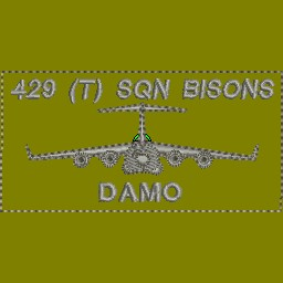 429 (T) Sqn Bison Coloured LVG Nametag