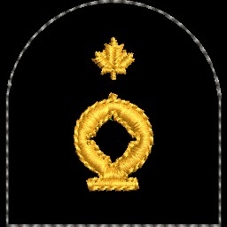 Navy Trade Collar Dog