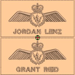 AESOP Wings Nametag (tan)