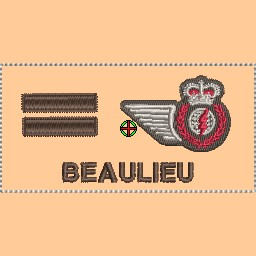 423 Sqn ACSO Trade Coloured Tan Nametag - Capt