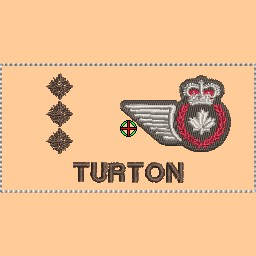 423 Sqn Pilot Trade Coloured Tan Nametag - Capt
