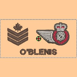 423 Sqn AVS Trade Coloured Nametag - Sgt Rank (tan)