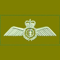 ACSO Wings LVG