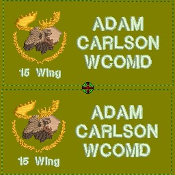 15 Wing Coloured LVG Nametag