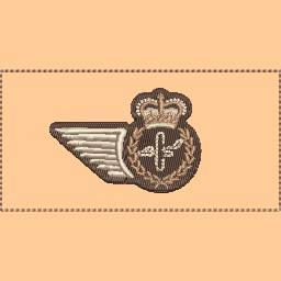 ACS Wing Nametag Style