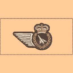 AMSUP Wing Nametag Style