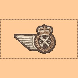 AWS Wing Nametag Style