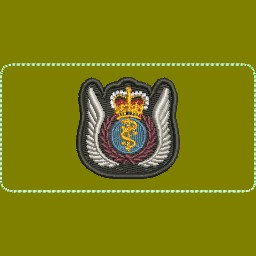 Aeromedical Evacuation Crew Member (AECM) Wings Coloured LVG