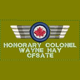 Honorary Colonel Gradient Wings (name & position)