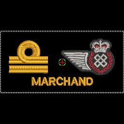 Lt(N) Rank & Logistics Nametag