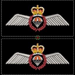 Search and Rescue Technician (SAR Tech) Wings