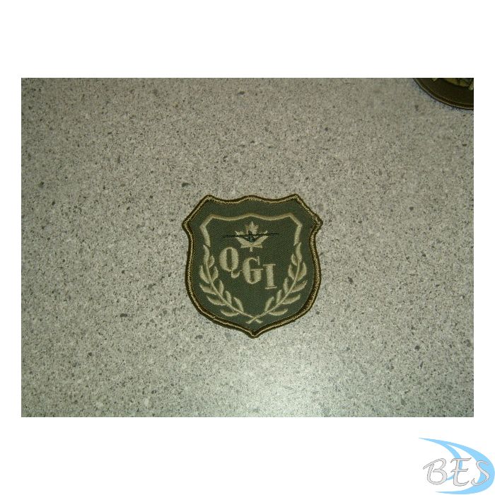 The Cadet QGI Patch LVG