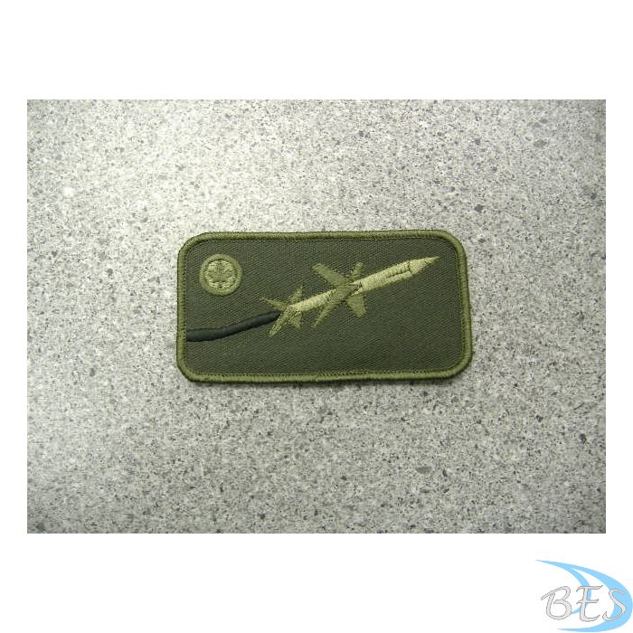 Aim 7 Missile Nametag LVG