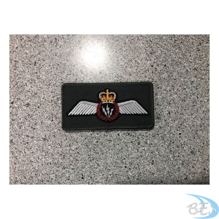 AESOP Wings coloured LVG Patch