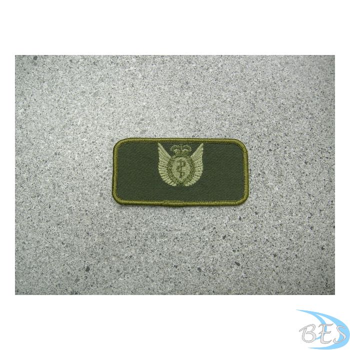 Flight Surgeon Wings Nametag LVG