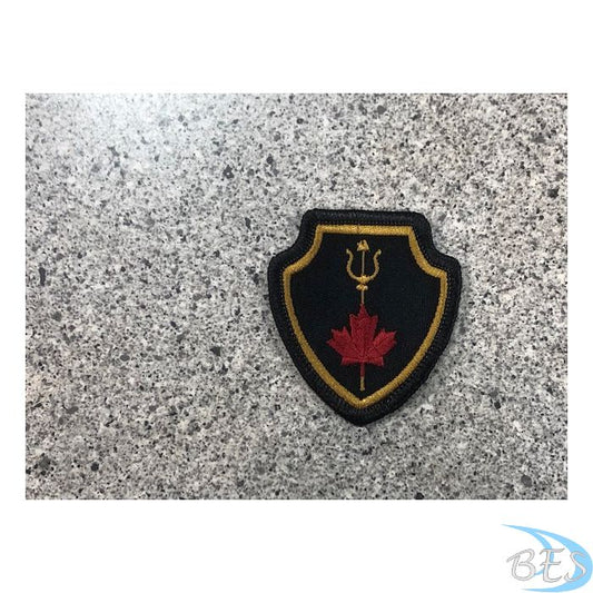 Naval Tactical Operations Group(NTOG)