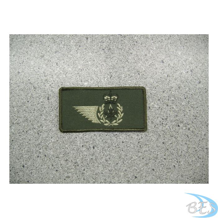 AERE Wing Patch nametag style LVG