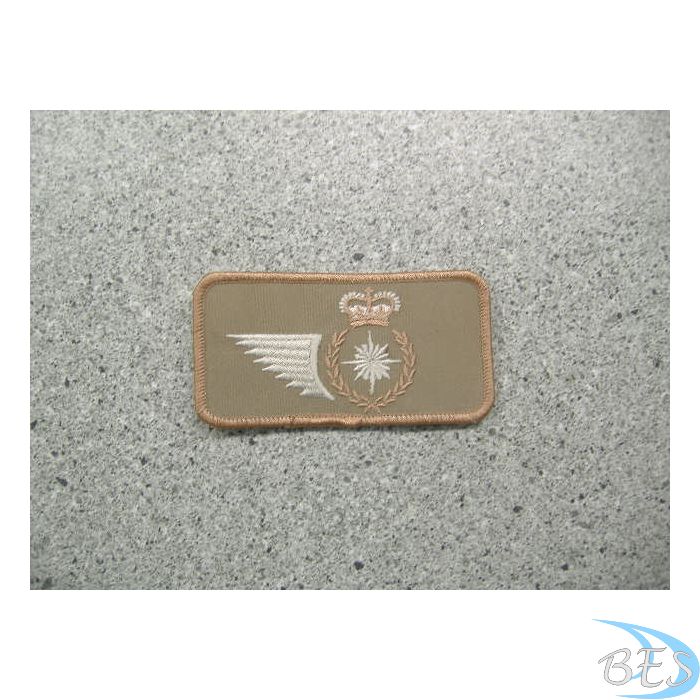 Intelligence Trade Badge  Nametag Style Tan