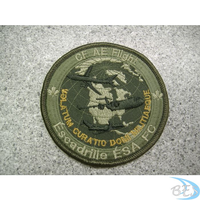 CF AEROMEDICAL EVACUATION FLIGHT Patch LVG