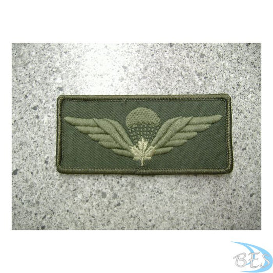 Airborne Wings nametag style LVG