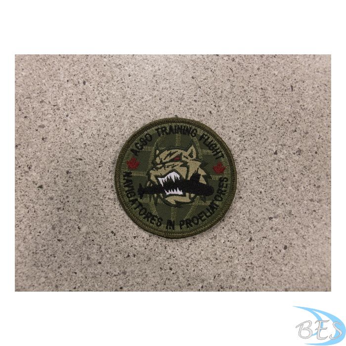 ACSO Training Flight Patch LVG