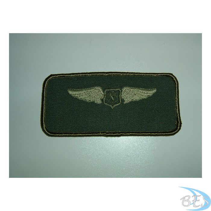 US Wings Nametag LVG