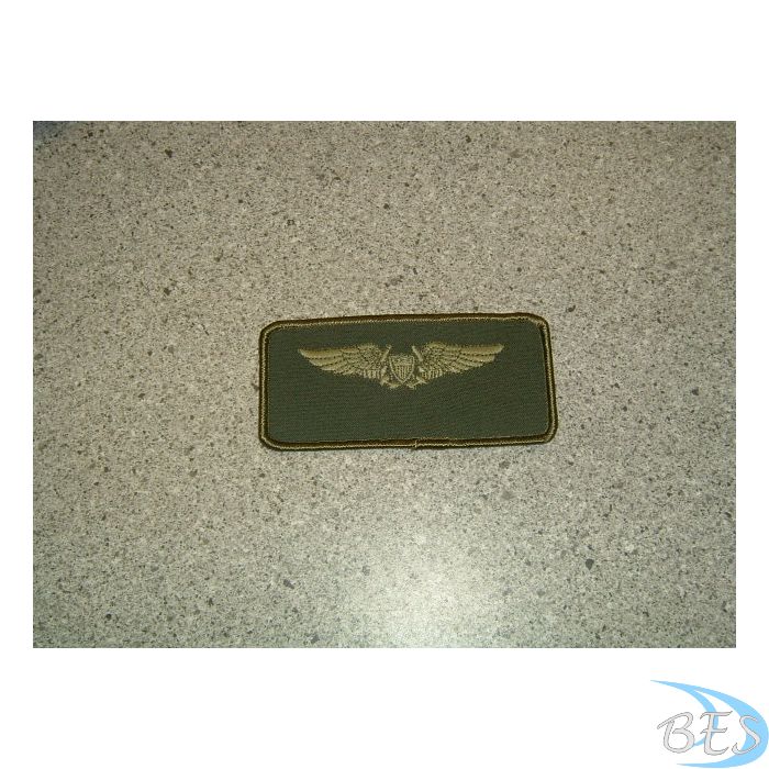 US Pilot Wings LVG Nametag