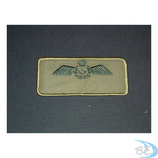 Operational Nametag LVG - AESOP