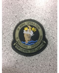 11217 404D - 12 Wing Operations Patch LVG (12 Wing)