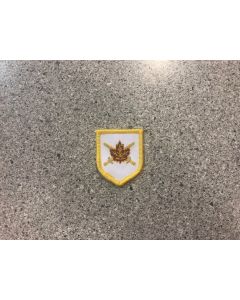12840 455 G - Medical Command Badge