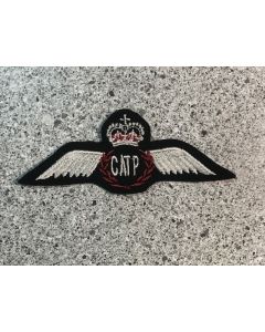 15710 173A - CATP Wings