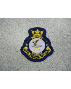 1649 4 - 77 Arrowhead Squadron Heraldic Patch