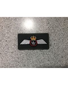 17070 272 E - AESOP Wings coloured LVG Patch