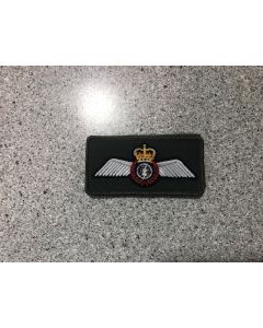 17076 271 G - ACSO Wings  Coloured LVG Patch