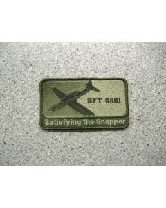 3792 - BFT 0801 - Satisfying the Snapper Patch LVG