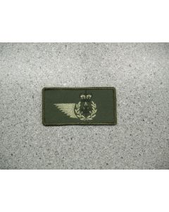 3888 - AERE Wing Patch nametag style LVG