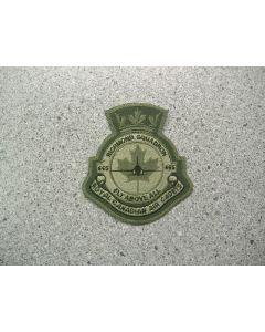 4263 129B - 655 Richmond Squadron Heraldic Crest LVG