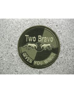 4806 - Two Bravo Patch LVG