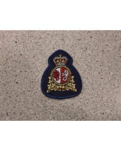 6294 263 D - Command Badge Small